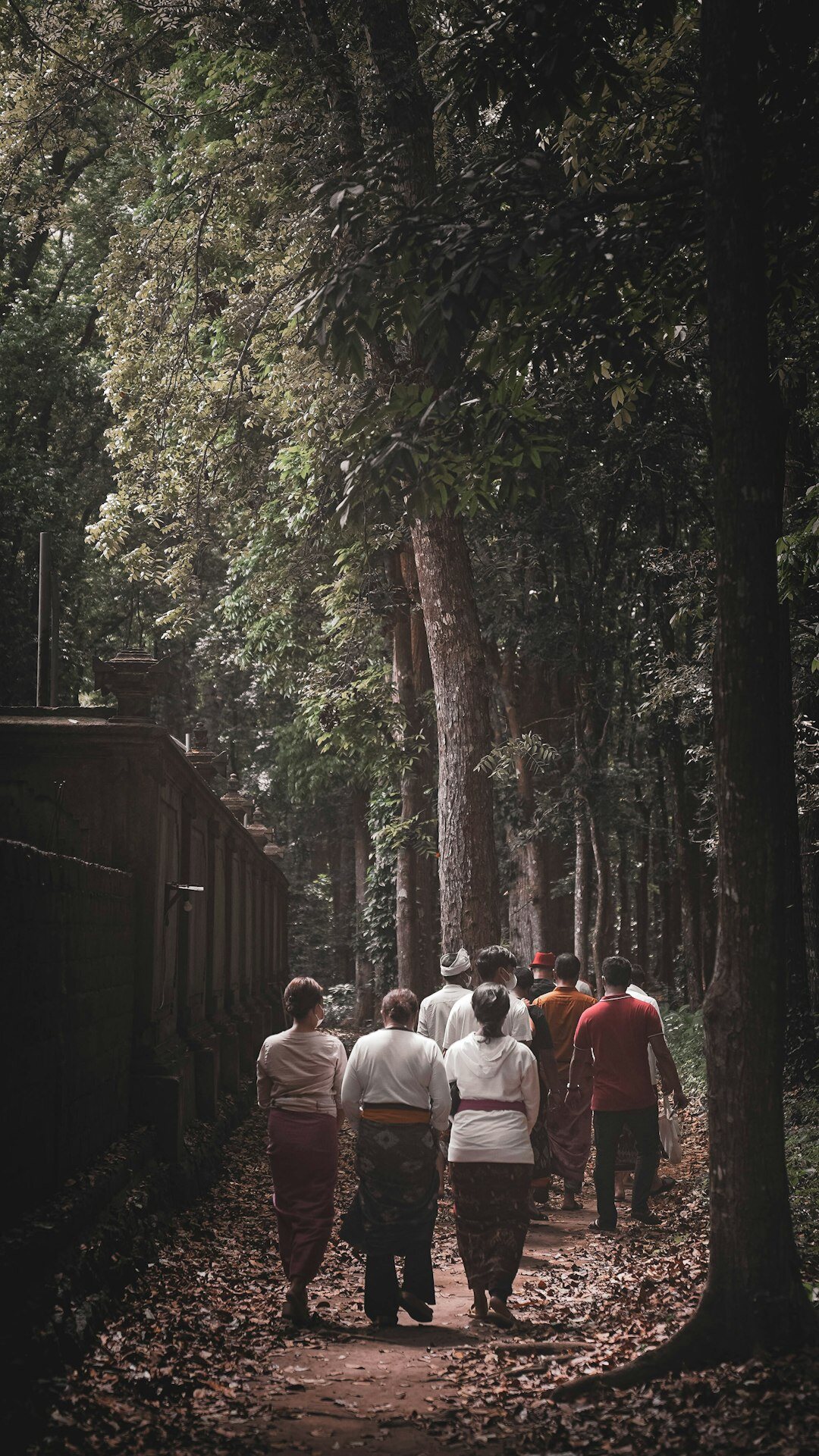 Group of seniors walking together on a tree-lined path