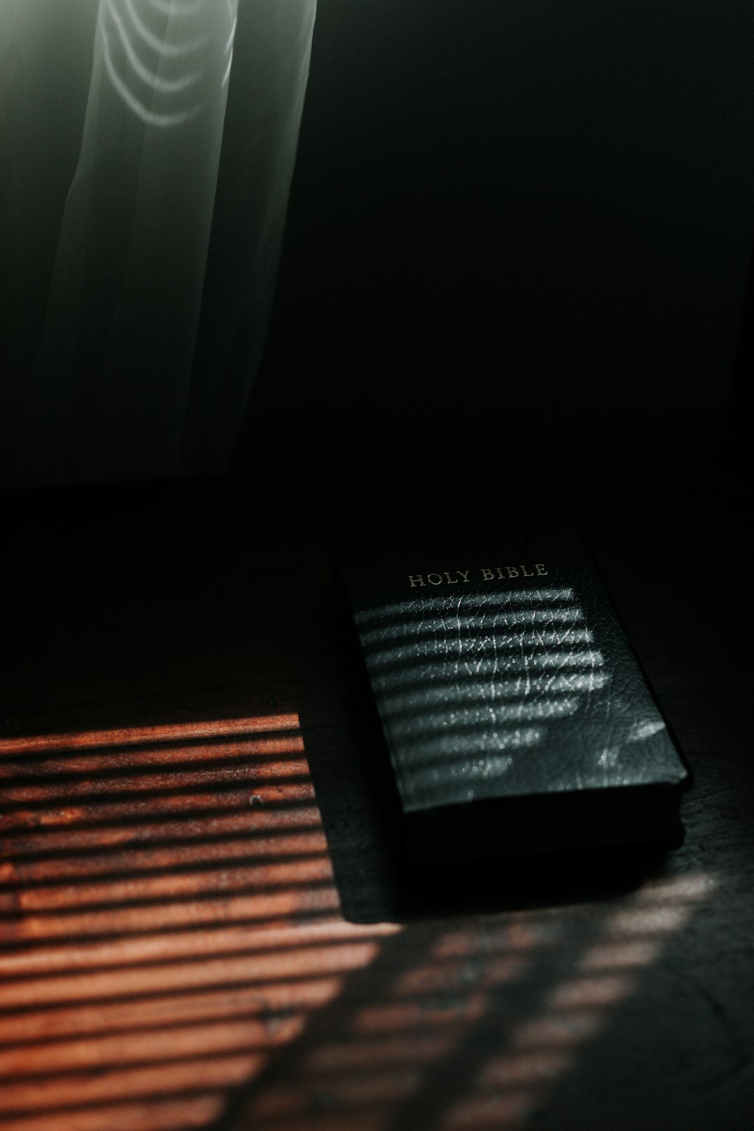 dark mystery book cover